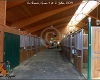 GIVRIN 2011